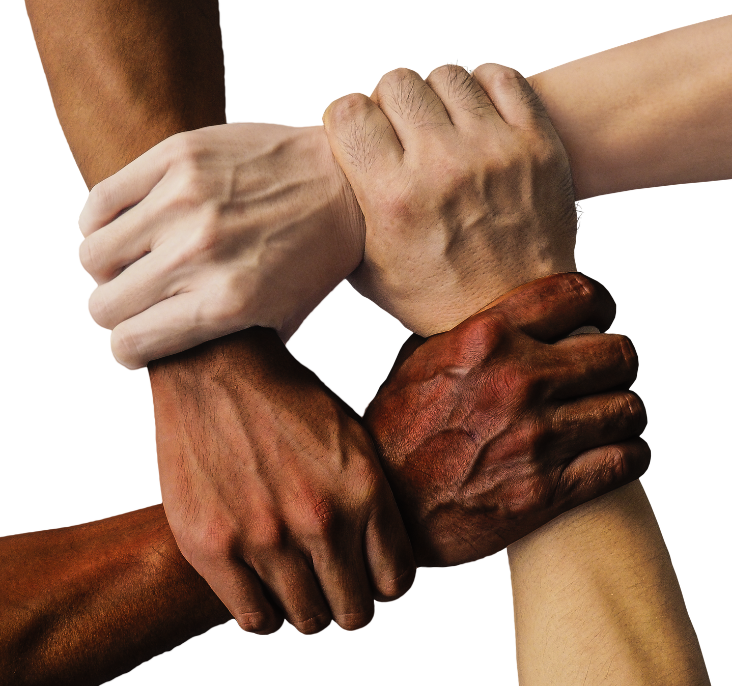 cropped-hand-1917895_1920-5.png